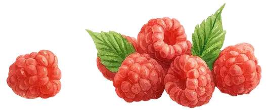 dulces-abuelitos-raspberries